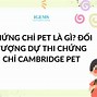 Điểm Pet A1 Là Gì