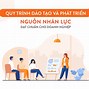 Hạch Toán Quỹ Phát Triển Sự Nghiệp