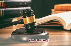 Pháp Luật Là Gì Lớp 12