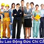 Xuất Khẩu Lao Đông Pháp Sang Đức Bao Nhiêu Tiền